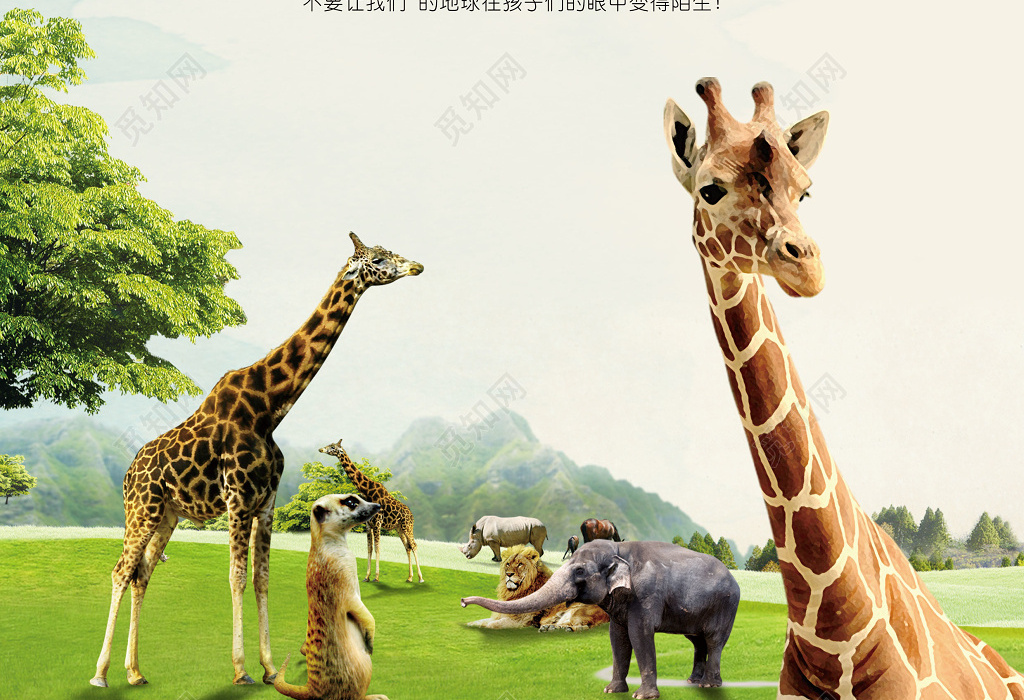 动物世界爱护动物献爱心动物园海报