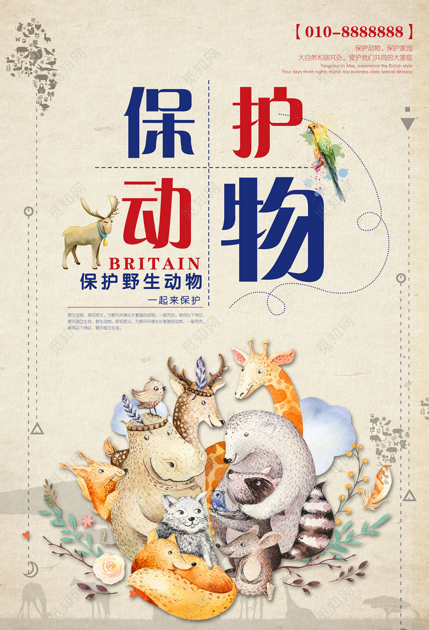 保护野生动物保护家园卡通动物世界动物园海报