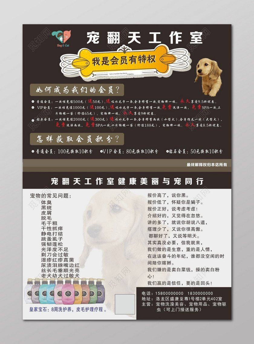 宠物店宣传单宠物店会员宣传