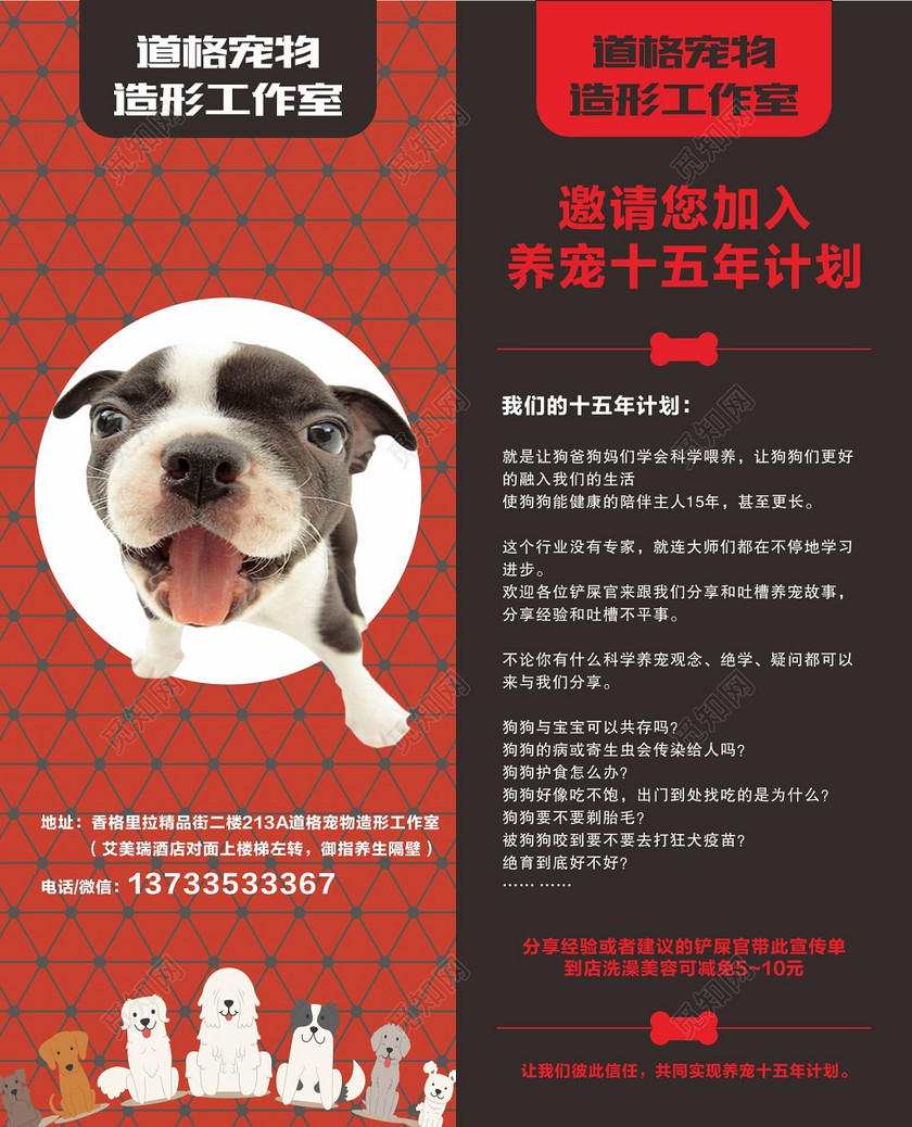 觅知网 设计素材 广告设计 宠物店宣传单宠物造型工作室.cdr