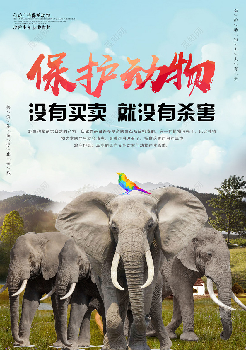 保护动物没有买卖就没有杀害保护大象公益动物园海报