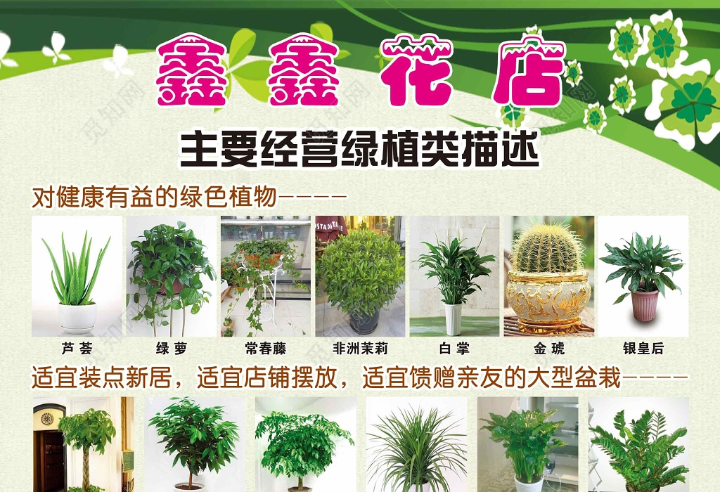 绿植类花店促销宣传单