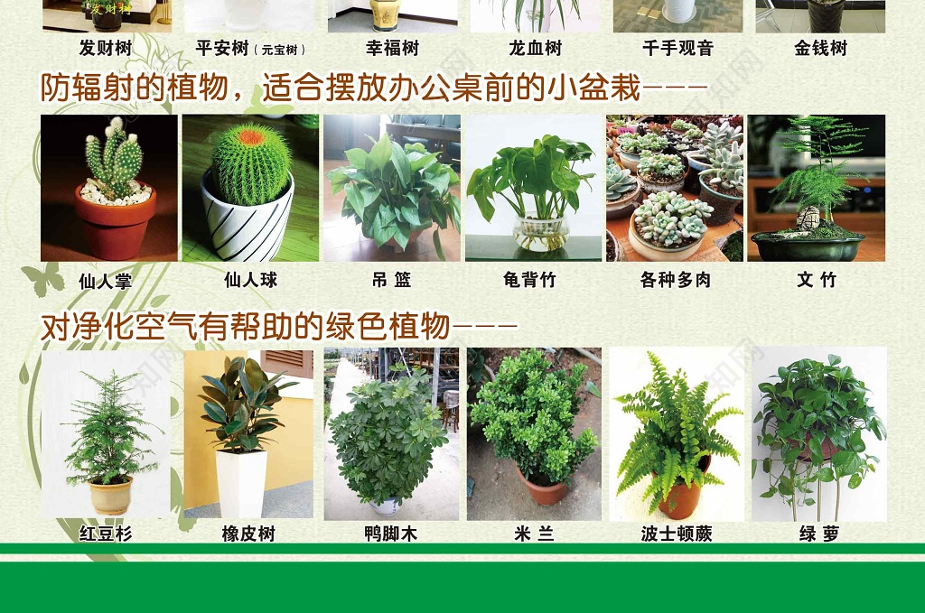 绿植类花店促销宣传单