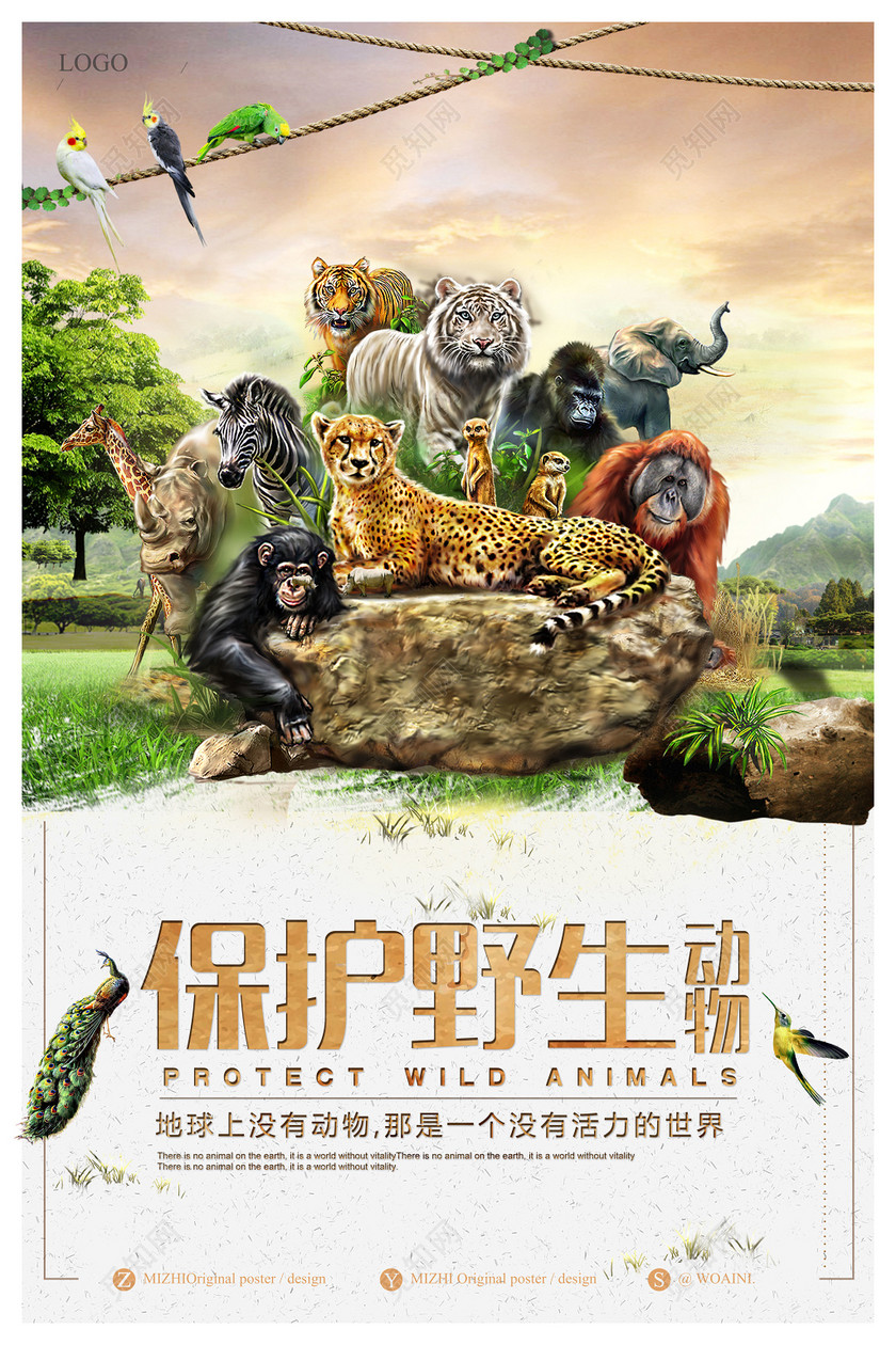 保护野生动物保护地球动物世界动物园海报