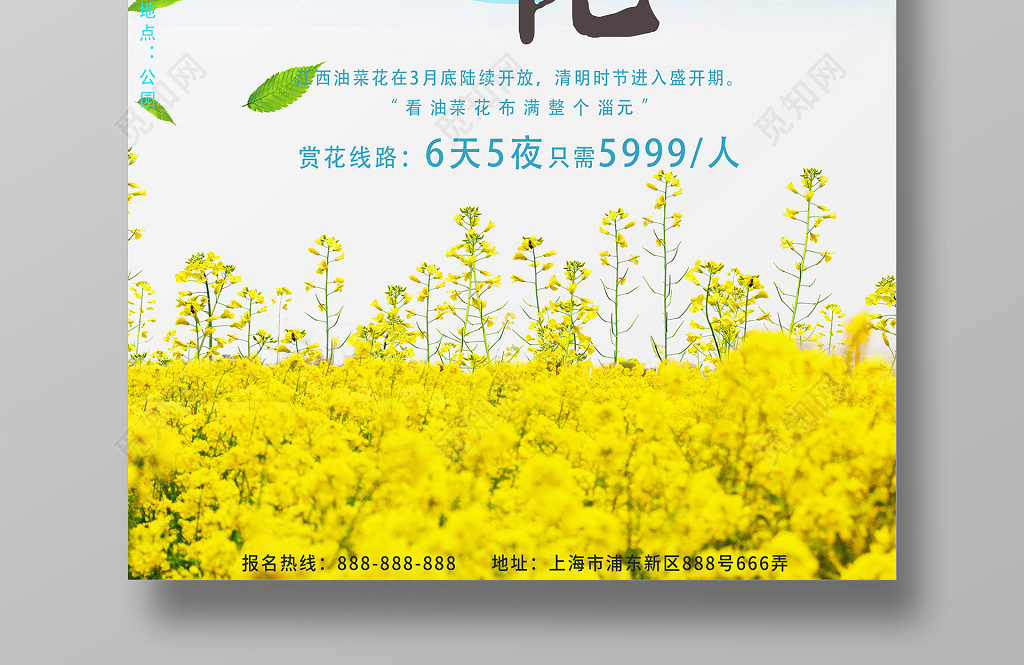 春天春季油菜花旅游清新海报