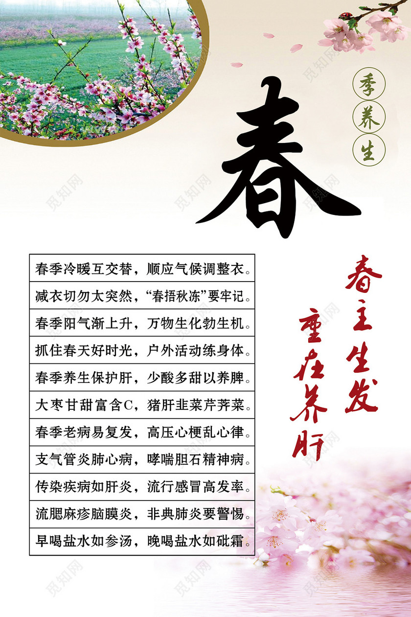 淡雅春季养生海报季节养生海报设计