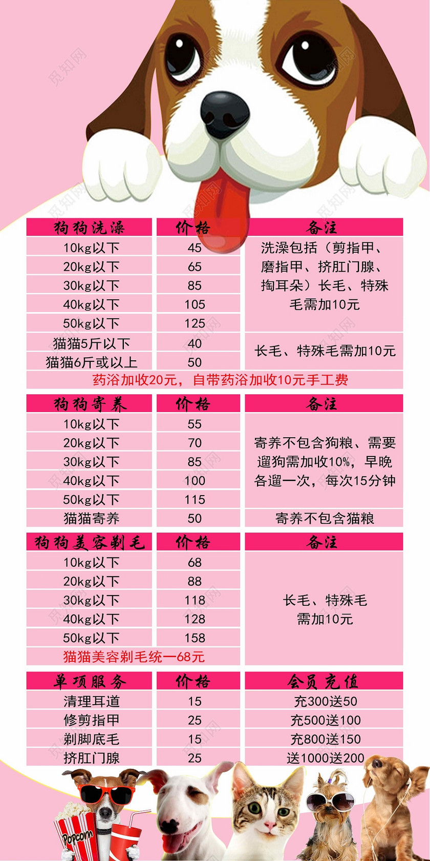 宠物店洗澡美容价目表粉色宣传单