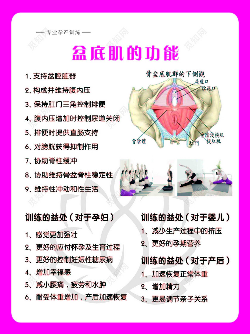 产后恢复产后训练盆底肌恢复专业孕产训练粉色框白色展板