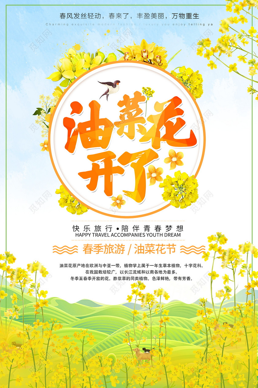 油菜花醉美油菜花油菜花旅游节宣传海报