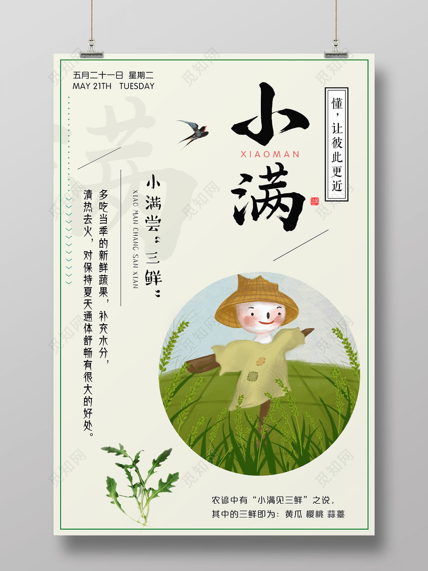 小满二十四节气稻草人养生宣传海报