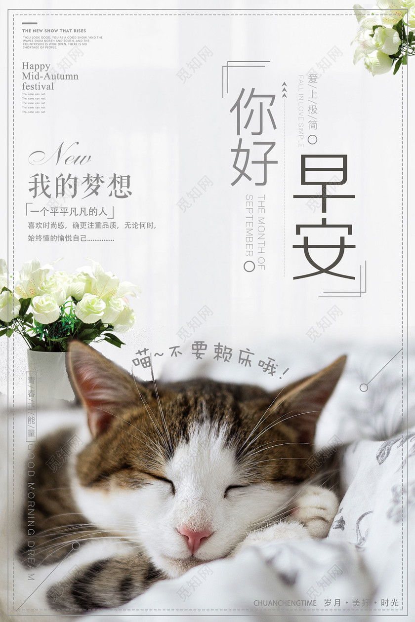 你好早安青春正能量猫咪睡觉清新海报