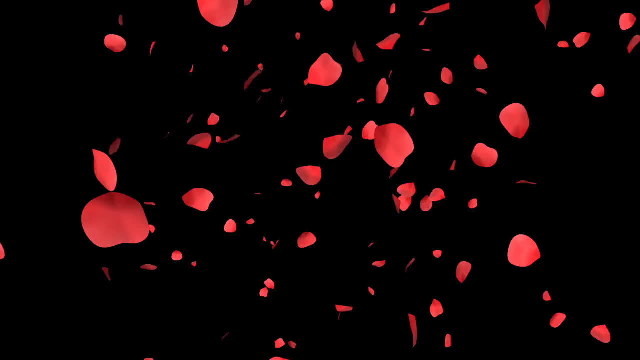 玫瑰花瓣飘落婚礼片头视频阿尔法通道素材