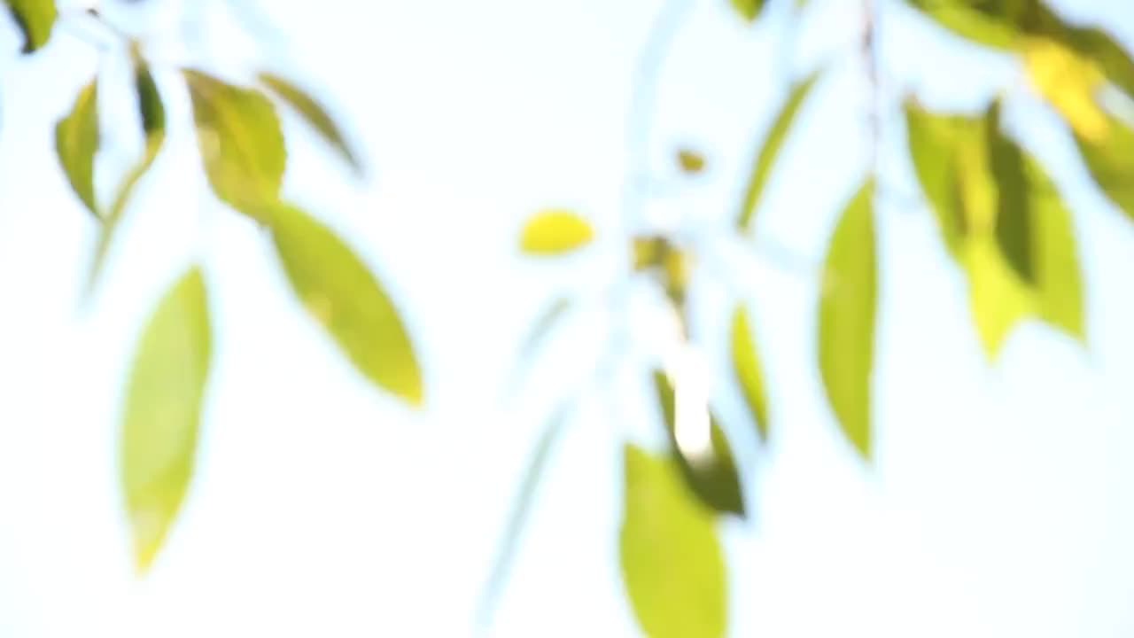 ֽ   1280_720