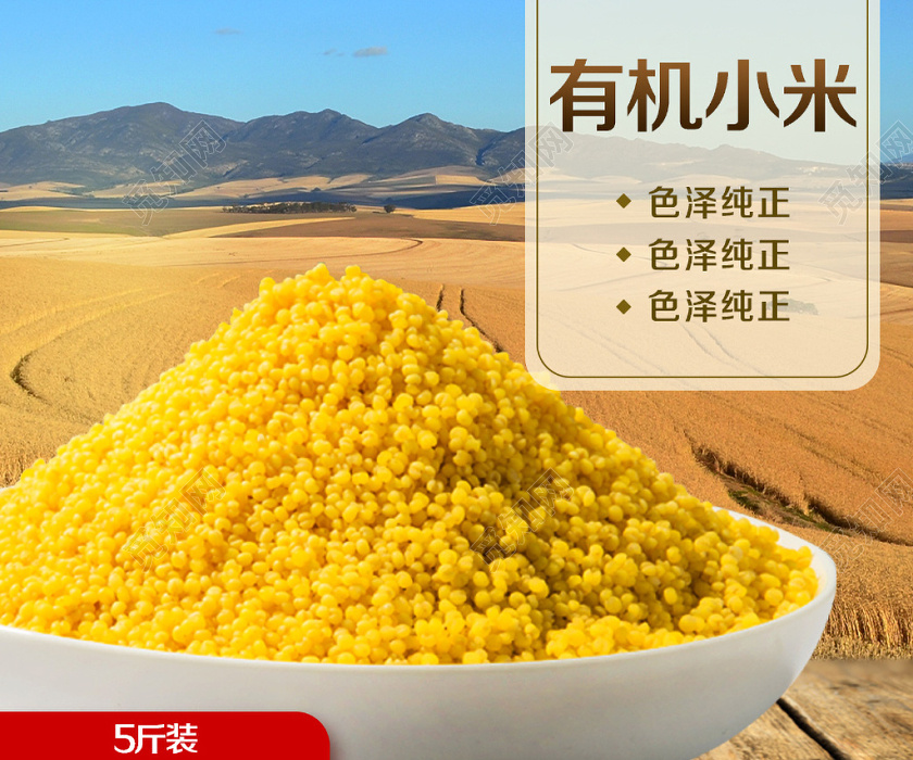 淘宝电商有机小米颗粒饱满色泽纯正粮食主图框直通车促销活动