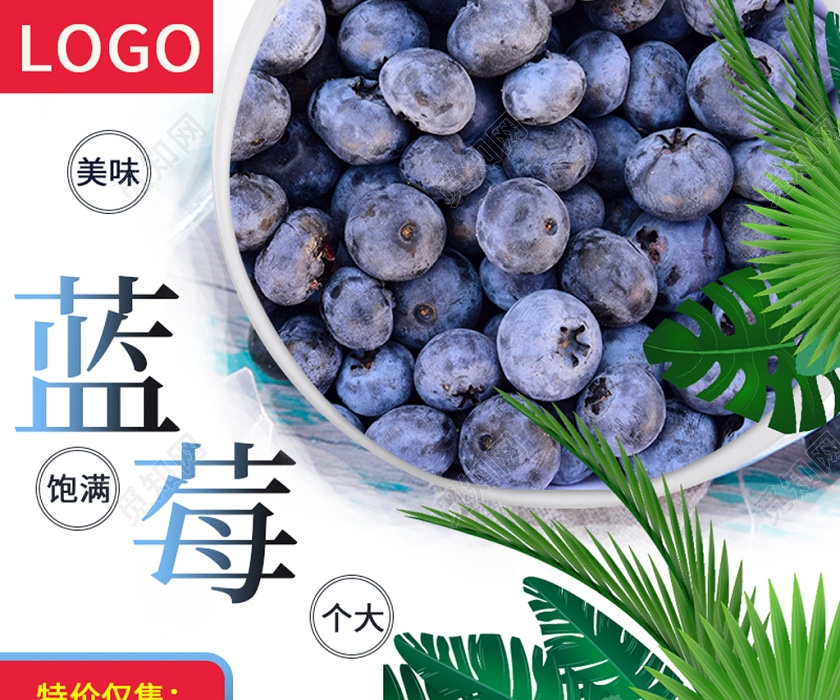 蓝色自然风主图框直通车促销活动蓝莓水果美食食物通用类主图