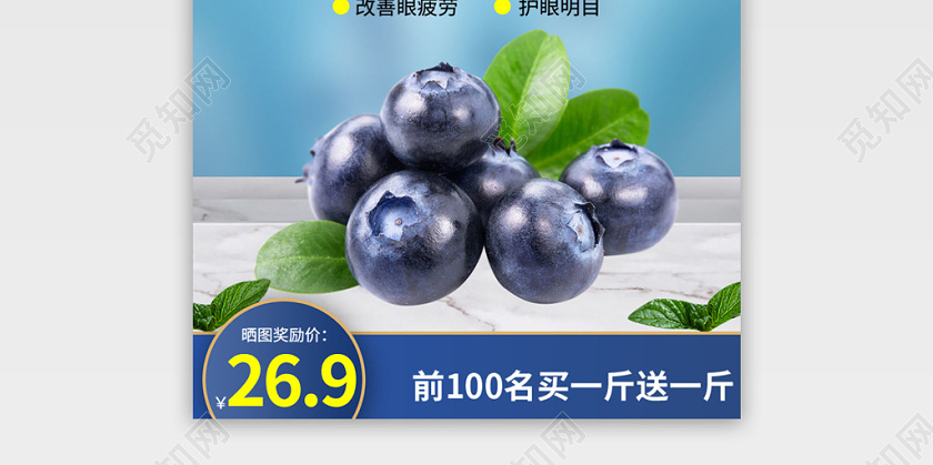 蓝色系清新风我是野生蓝莓干买一送一主图直通车促销活动