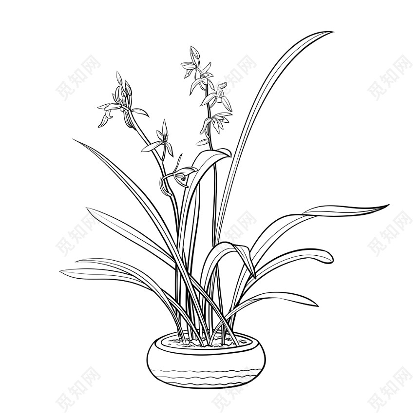兰花植物盆栽盆景矢量素材