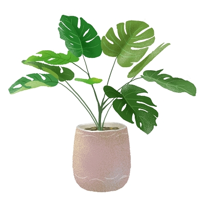 龟背竹植物盆栽盆景矢量素材