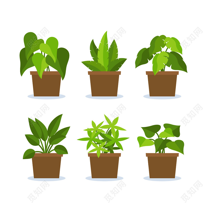卡通绿植盆栽盆景