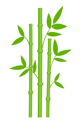 竹子平面素材