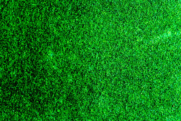 写实翠绿色青草草地草坪背景