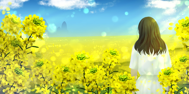 小清新自然风光卡通春天油菜花女孩春季原创插画背景