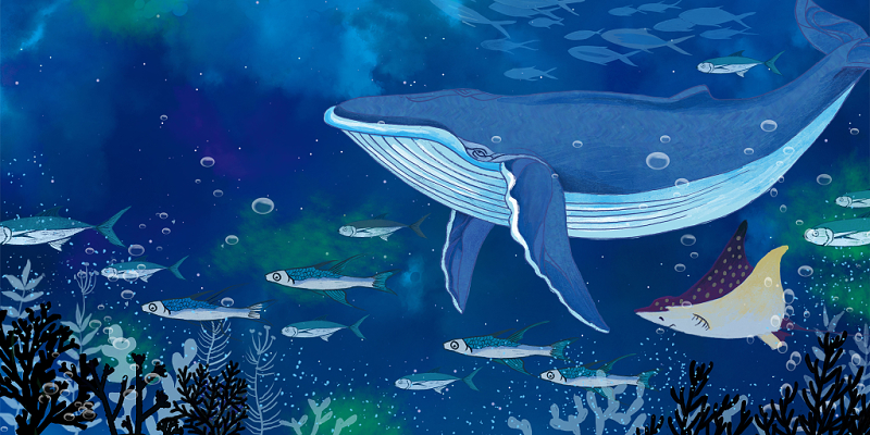 海洋插画清新唯美梦幻海底鲸鱼原创插画素材