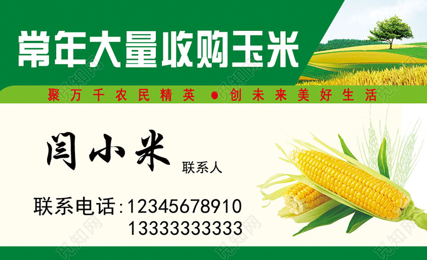 玉米名片白绿色简约名片设计模板