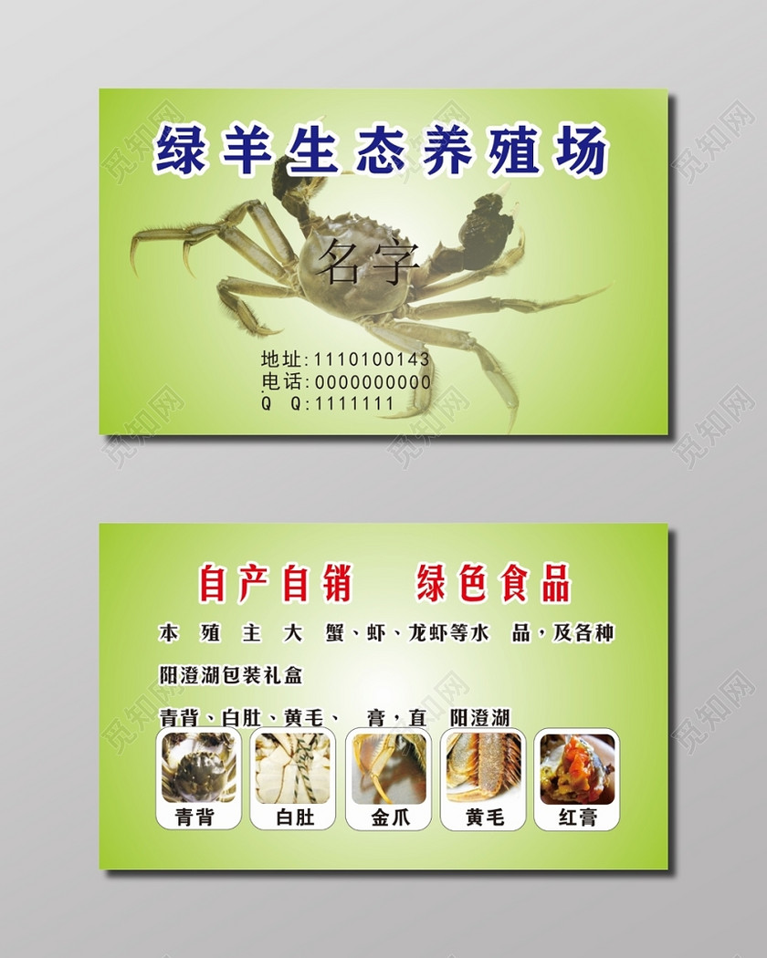 绿羊生态养殖场名片设计模板