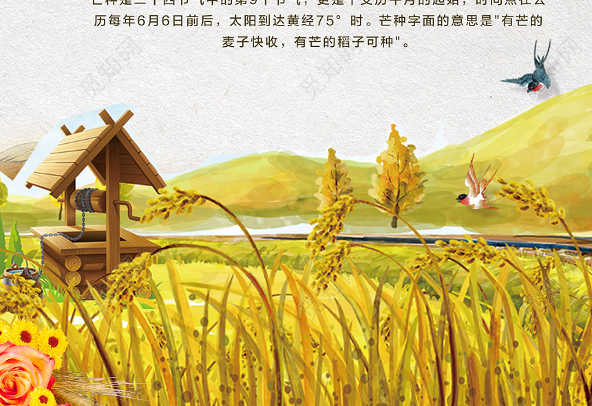 芒种24节气二十四节气芒种插画创意海报