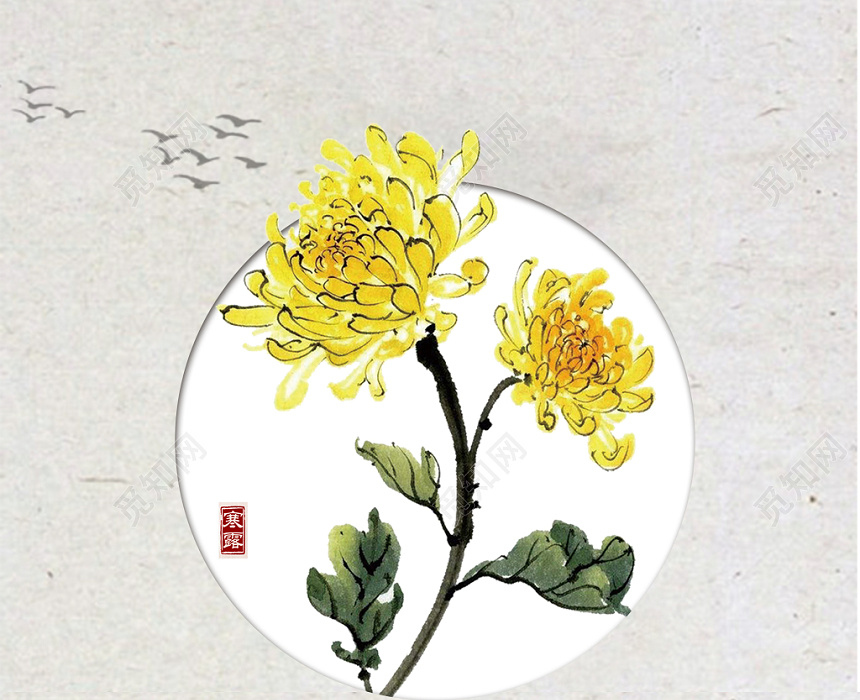 简约寒露24二十四节气中国风菊花宣传展板海报