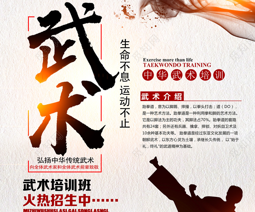 浅灰传统简约风武术培训招生武术海报
