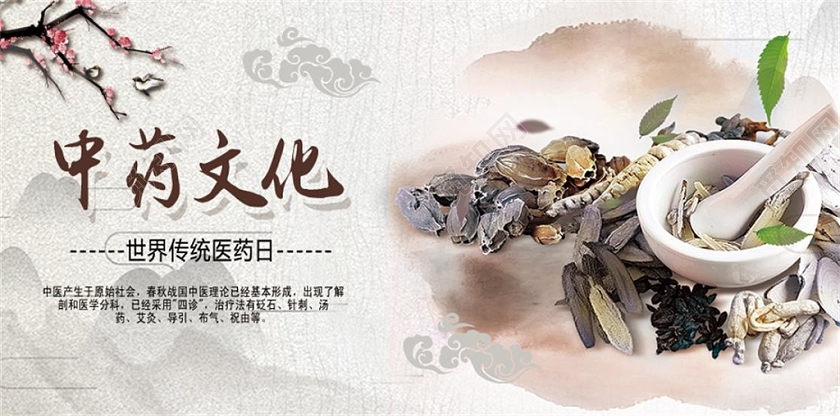 中药文化世界传统医药日宣传微信首图
