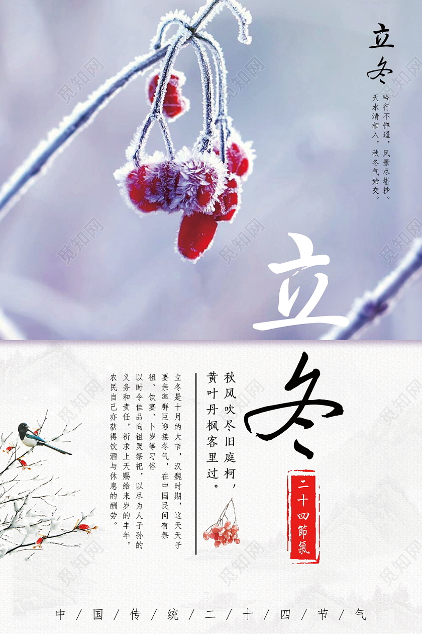 中国传统二十四节气立冬冬季下雪宣传海报