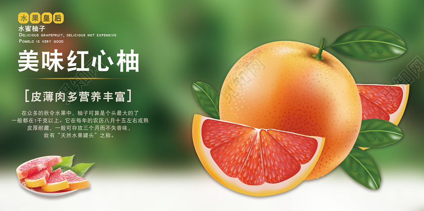 冬季柚子水果宣传展板实拍柚子水果皇后