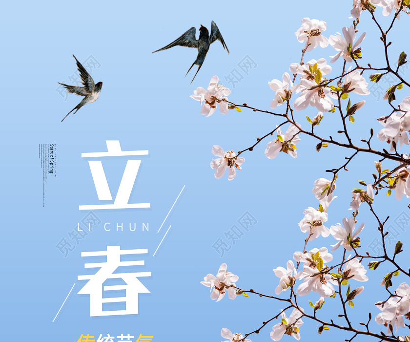 二十四节气立春自然景色花枝海报