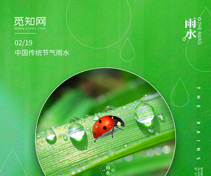 绿色简约雨水中国传统二十四节气24节气宣传海报雨水二十四节气24节气