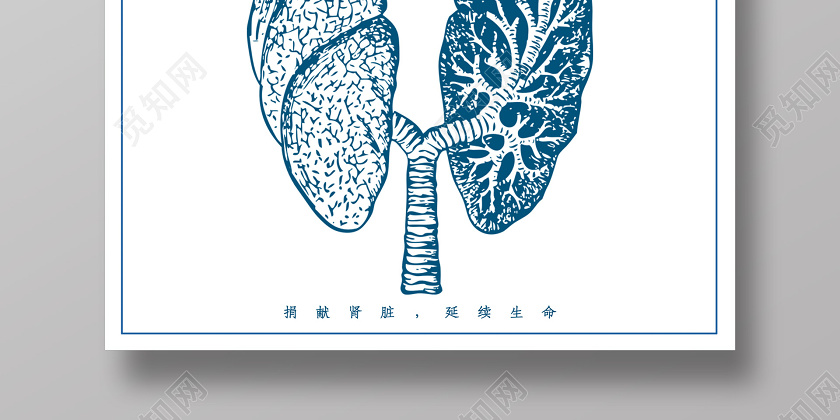 白色简约世界肾脏日延续生命海报