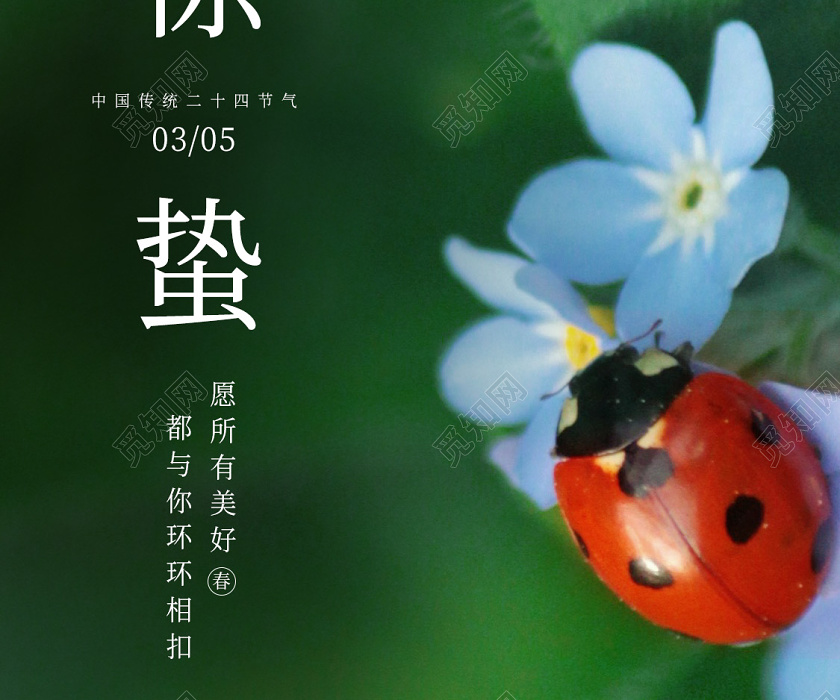 惊蛰春天24节气之一瓢虫手机海报