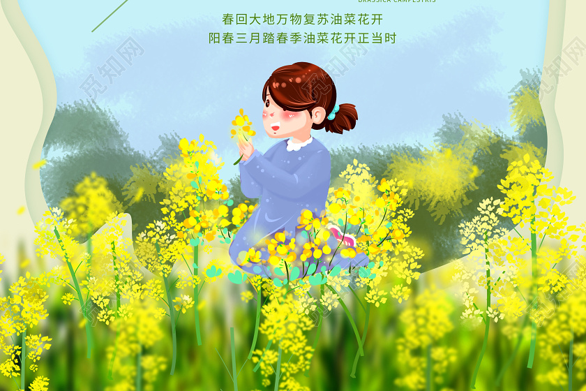 蓝色创意卡通剪纸风格油菜花海报春天油菜花