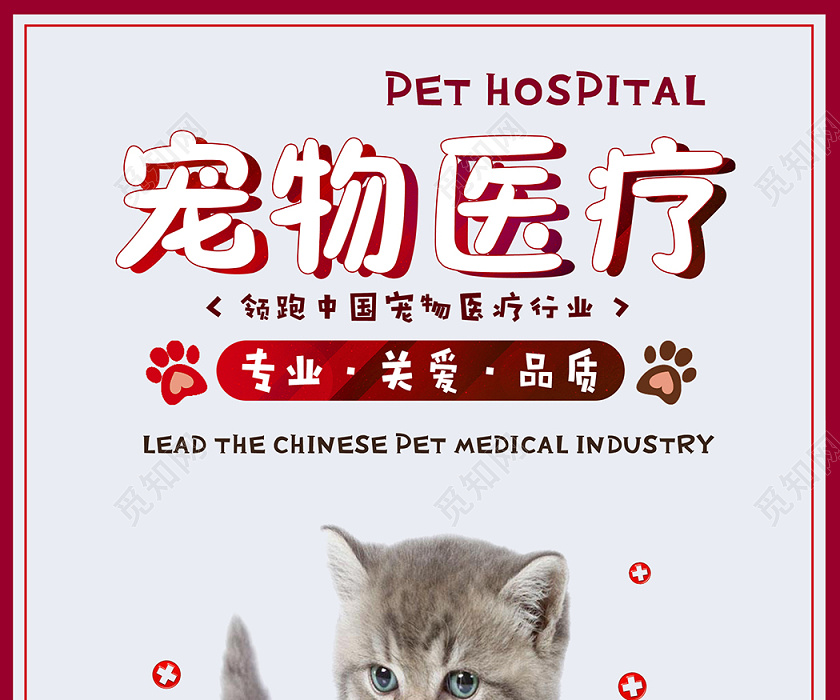 觅知网 设计素材 设计模板 > 卡通清新宠物店宣传单宠物医疗动物海报.