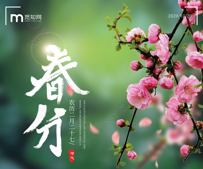 2020年绿色背景小清新桃花创意传统二十四节气之春分宣传海报