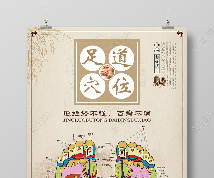 简单浅灰中医养生足疗足道穴位宣传海报 简单浅灰中医养生足疗足道穴位宣传海报