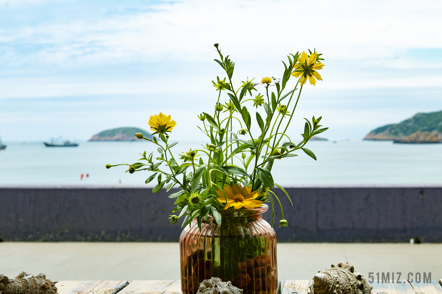 春天小清新鲜花图片