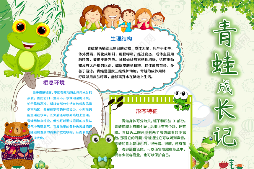 卡通花边边框青蛙成长记小报word模板