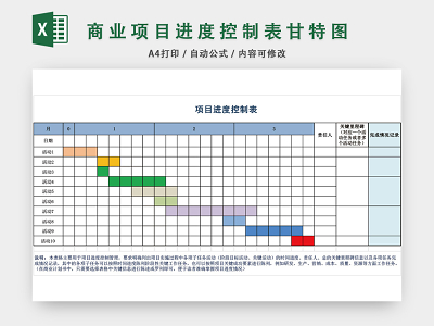 项目进度图