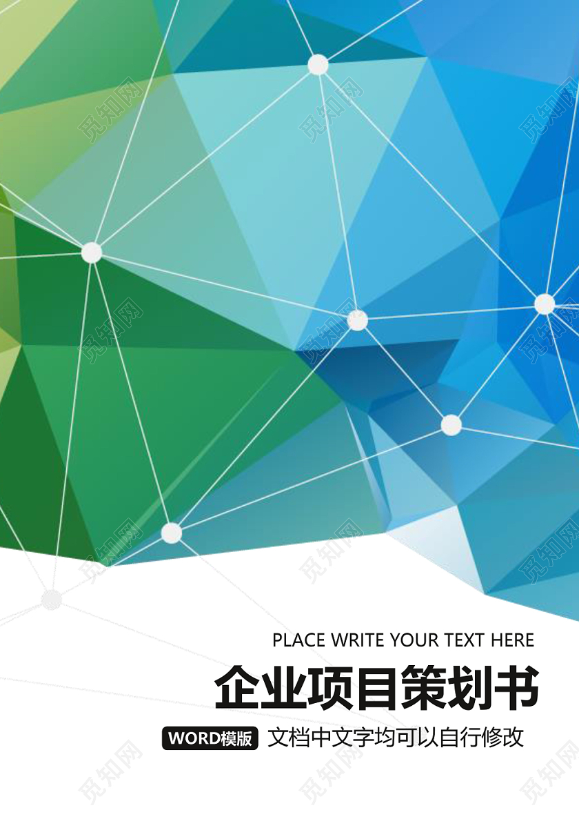 简约正式公司项目策划书活动策划书计划书word模板