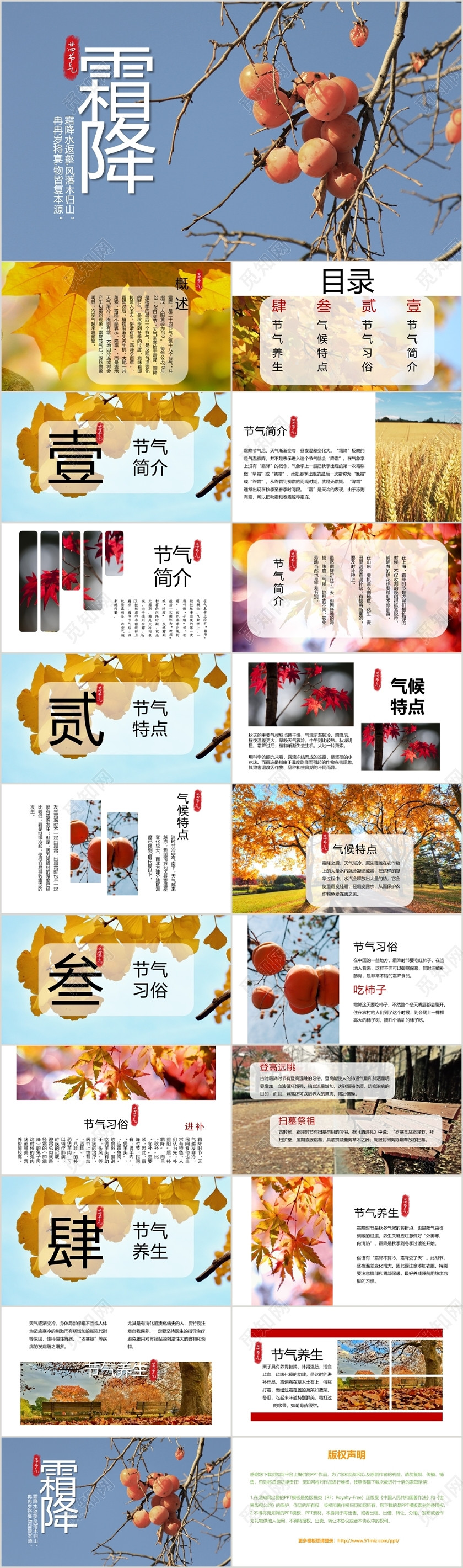 蓝色风景清新文艺风格二十四节气之霜降节气介绍PPT模板 蓝色风景清新文艺风格二十四节气之霜降节气介绍PPT模板