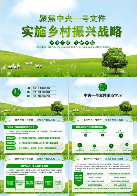 中央一号文件乡村振兴战略解读ppt模板
