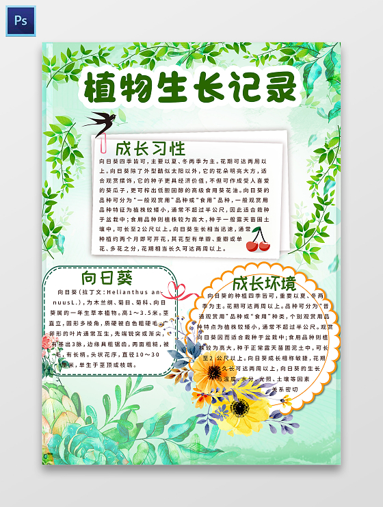 养植物小常识植物观察记录手抄报小报
